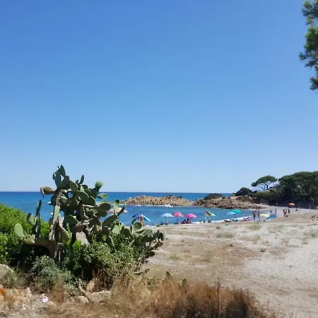 Sas Raicrinas