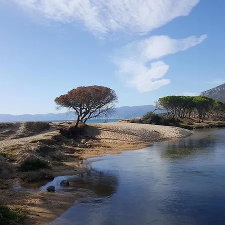 Sas Raicrinas Irgoli